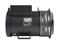 Mecc Alte ECP32-1M/4 (40 кВт)