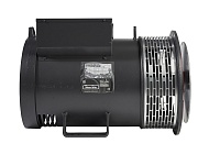 Mecc Alte ECP32-2M/4 (50 кВт)