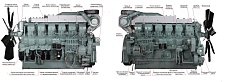 Дизельный генератор ТСС АД-1008С-Т400-1РМ8